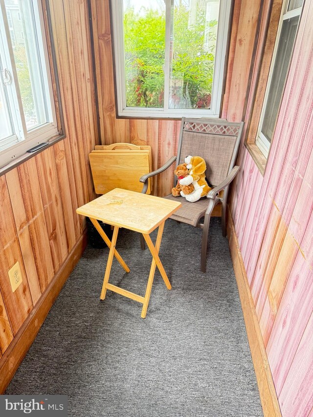 316 Chester Ave, Annapolis, MD 21403 - view of sunroom