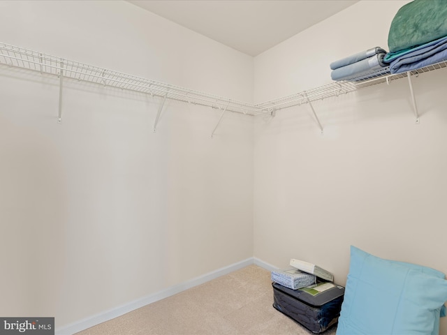 20822 Brunswick Ln, Millsboro, DE 19966 - spacious closet with light carpet