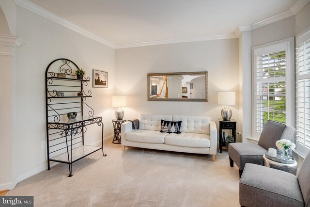 18565 Kerill Rd, Triangle, VA 22172 - living area with carpet floors, ornamental molding, and baseboards