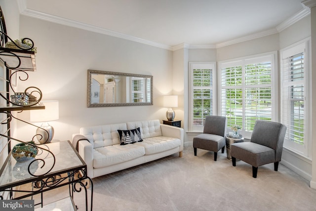 18565 Kerill Rd, Triangle, VA 22172 - living room featuring carpet, crown molding, and baseboards