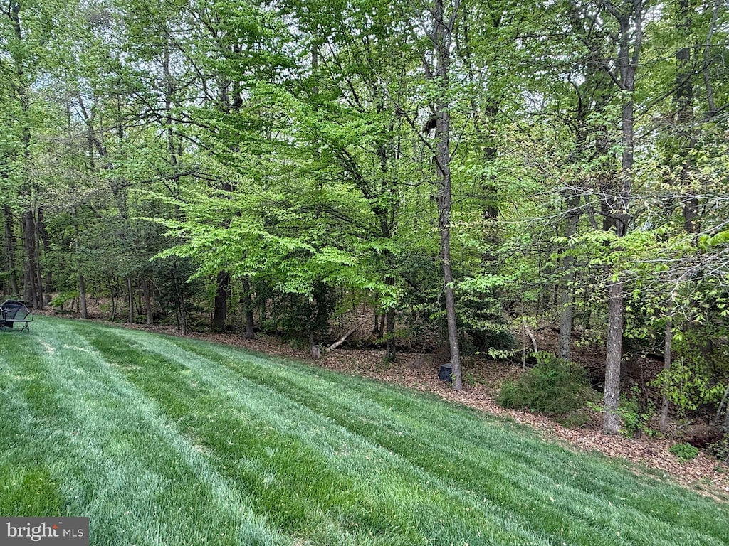 view of yard with a view of trees