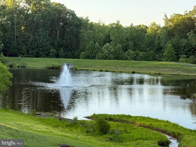 18565 Kerill Rd, Triangle, VA 22172 - water view featuring a heavily wooded area