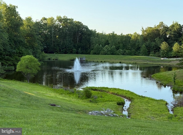 18565 Kerill Rd, Triangle, VA 22172 - water view featuring a forest