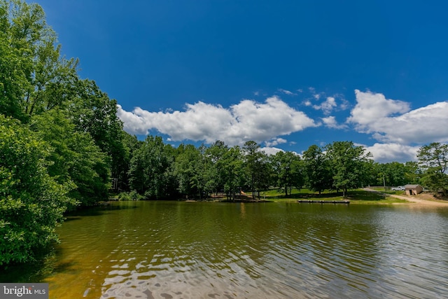 10 Mahon Cir, Ruther Glen, VA 22546 - water view