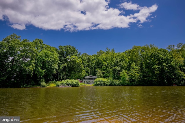 10 Mahon Cir, Ruther Glen, VA 22546 - water view with a heavily wooded area
