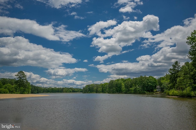 10 Mahon Cir, Ruther Glen, VA 22546 - water view with a forest
