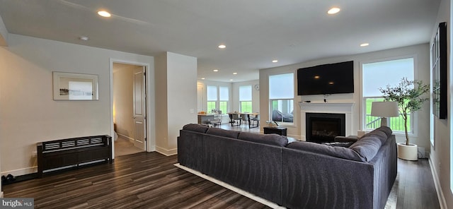 21340 Rainier Ln, Broadlands, VA 20148 - living room featuring dark wood-style flooring, baseboards, a fireplace, and recessed lighting