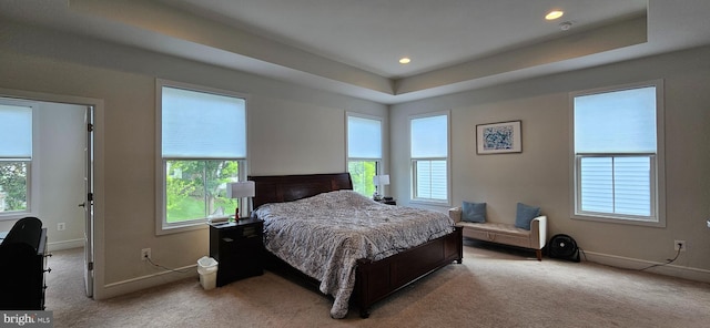 21340 Rainier Ln, Broadlands, VA 20148 - carpeted bedroom with multiple windows, baseboards, a raised ceiling, and recessed lighting