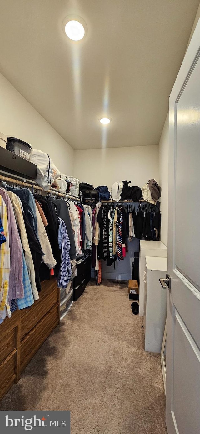 21340 Rainier Ln, Broadlands, VA 20148 - spacious closet featuring carpet