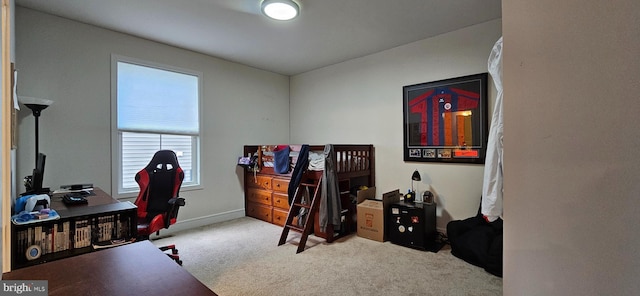 21340 Rainier Ln, Broadlands, VA 20148 - home office with carpet floors and baseboards