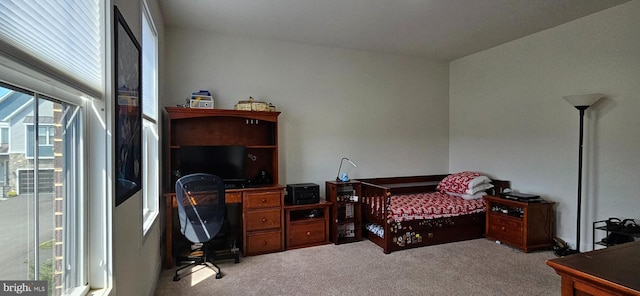 21340 Rainier Ln, Broadlands, VA 20148 - bedroom with light carpet and an office area
