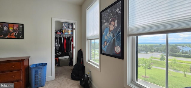 21340 Rainier Ln, Broadlands, VA 20148 - hallway with light carpet