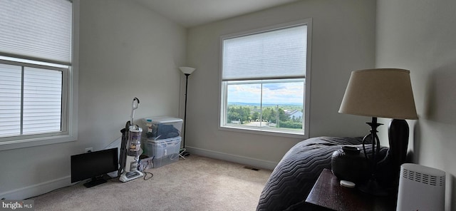 21340 Rainier Ln, Broadlands, VA 20148 - bedroom featuring carpet flooring and baseboards
