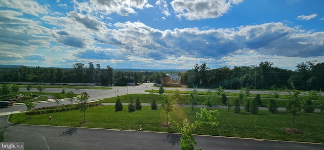 21340 Rainier Ln, Broadlands, VA 20148 - view of community with a lawn