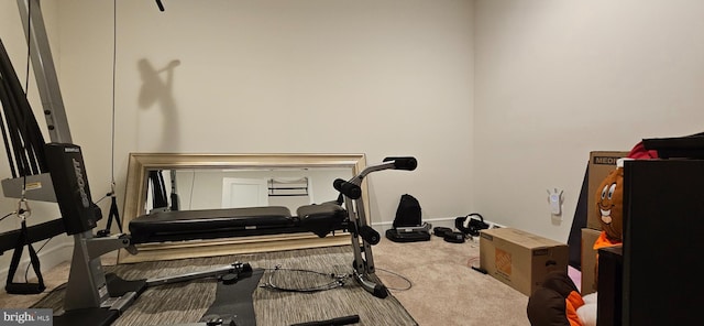 21340 Rainier Ln, Broadlands, VA 20148 - workout area with carpet flooring and baseboards