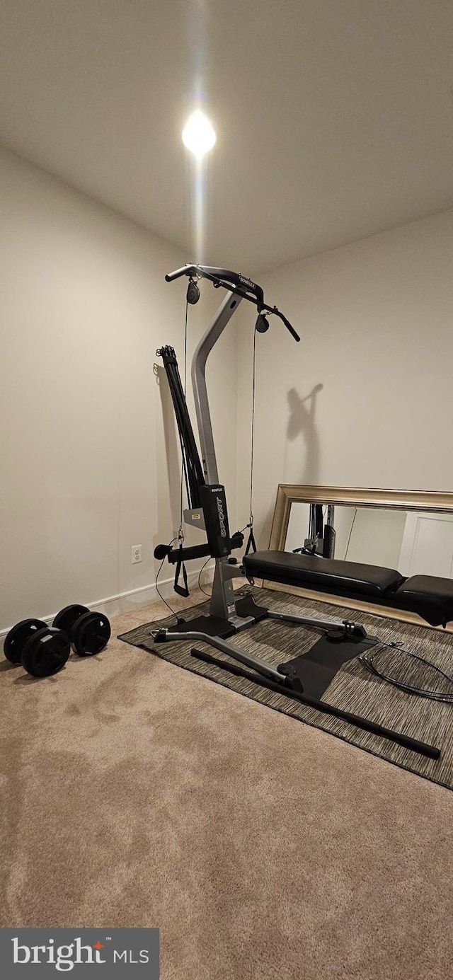 21340 Rainier Ln, Broadlands, VA 20148 - exercise area featuring carpet floors and baseboards