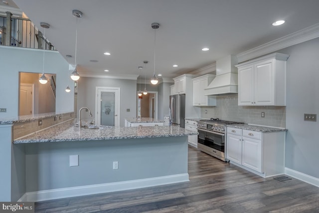 30780 Lindell Ln, Frankford, DE 19945 - kitchen featuring crown molding, a sink, premium range hood, stainless steel appliances, and dark wood-type flooring