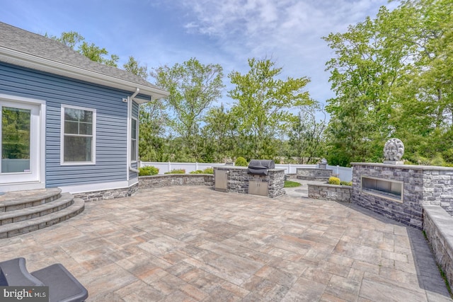 30780 Lindell Ln, Frankford, DE 19945 - view of patio / terrace featuring an outdoor stone fireplace, a grill, and area for grilling