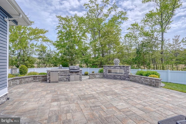 30780 Lindell Ln, Frankford, DE 19945 - view of patio featuring an outdoor stone fireplace, a fenced backyard, exterior kitchen, and a grill