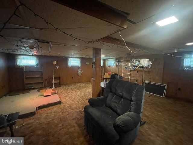 basement featuring carpet floors