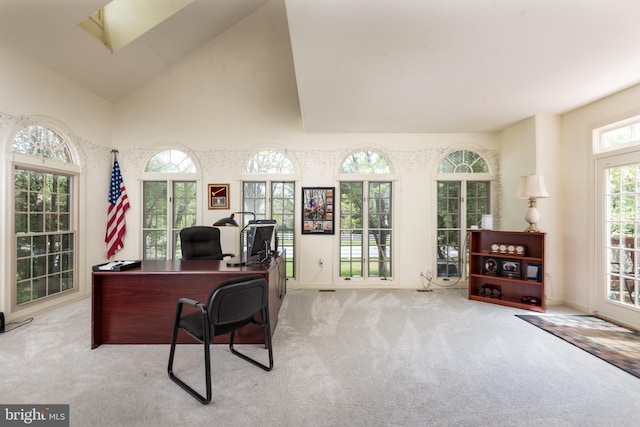 office featuring carpet flooring
