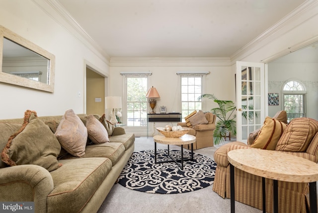 carpeted living area with ornamental molding