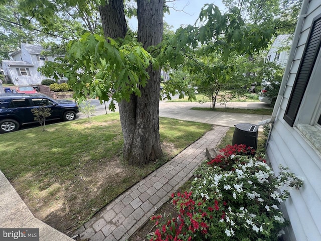 view of yard with central AC