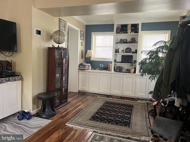 interior space with crown molding, a wealth of natural light, and dark wood-type flooring