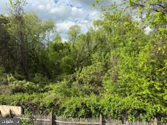22 Morning Ct, Rosedale, MD 21237 - view of local wilderness