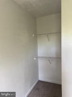 22 Morning Ct, Rosedale, MD 21237 - view of spacious closet