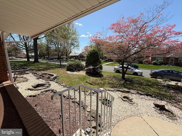 view of yard