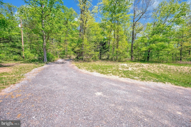 89 Cindys Way, Front Royal, VA 22630 - view of street with a view of trees