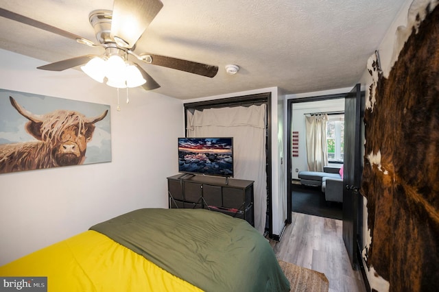 89 Cindys Way, Front Royal, VA 22630 - bedroom featuring a textured ceiling, ceiling fan, and wood finished floors