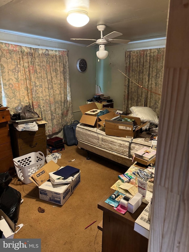bedroom with carpet