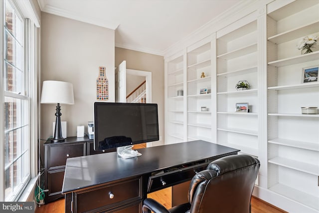 office space featuring wood finished floors and crown molding