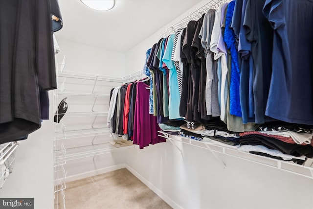spacious closet with carpet floors