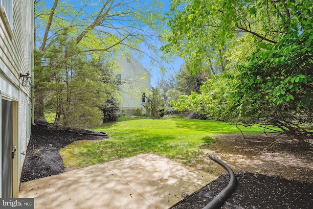 view of yard featuring a patio