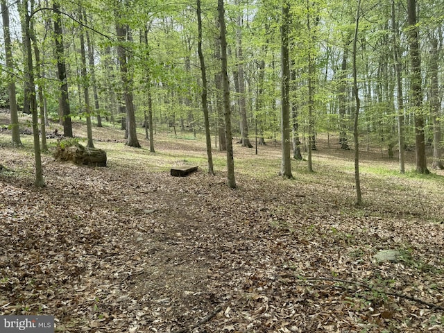 10924 Rawley Rd, New Market, MD 21774 - view of tree filled area