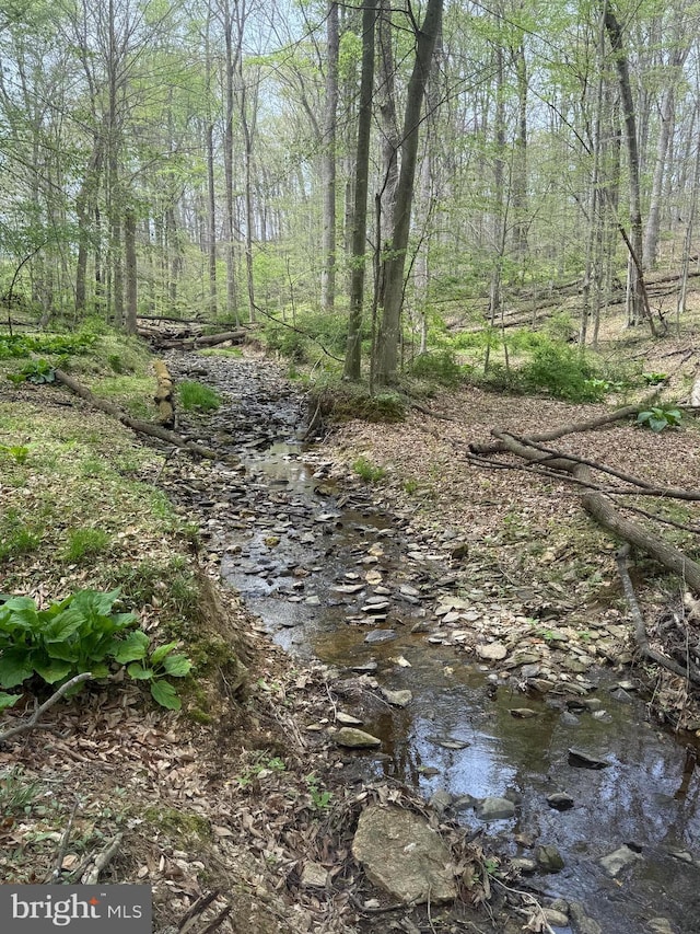 10924 Rawley Rd, New Market, MD 21774 - view of nature