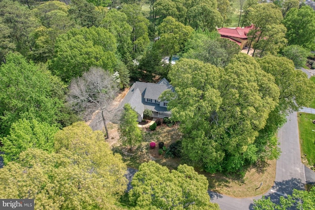 drone / aerial view of a heavily wooded area