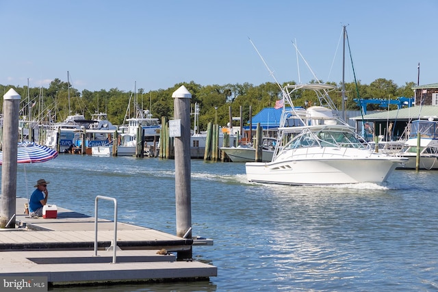 dock with a water view