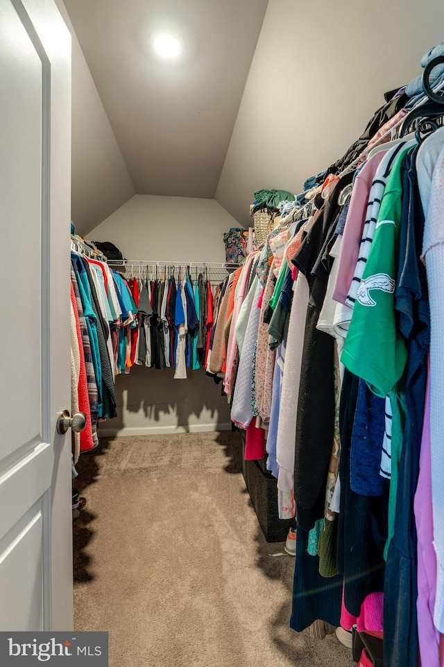 walk in closet featuring carpet and lofted ceiling