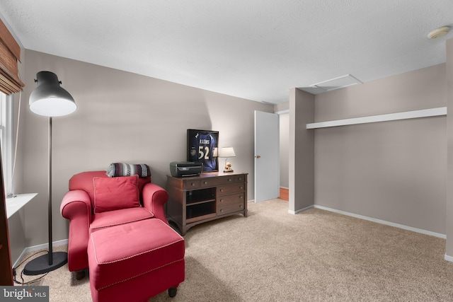 sitting room featuring carpet floors and baseboards