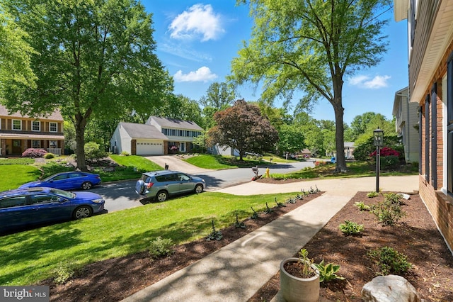 view of yard featuring concrete driveway