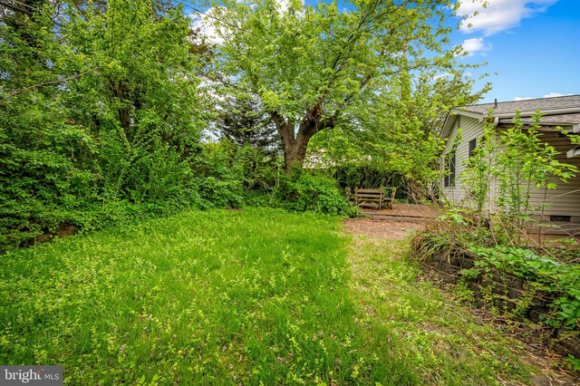 5303 Dew Garth, Baltimore, MD 21206 - view of yard