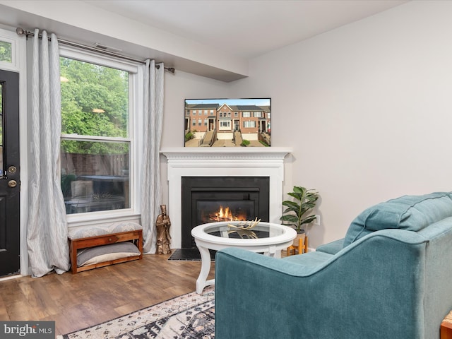 20636 Muddy Harbour Sq, Sterling, VA 20165 - living room with a fireplace with flush hearth and wood finished floors