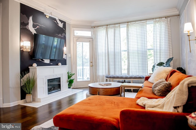living room featuring crown molding, baseboards, wood finished floors, and a fireplace