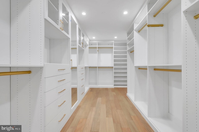 spacious closet featuring light wood-type flooring