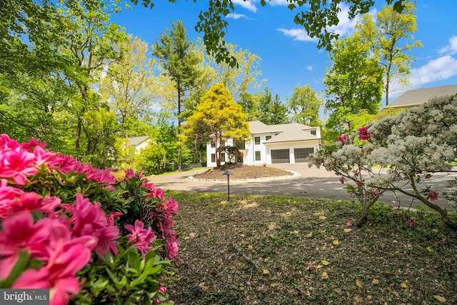 view of yard featuring a garage and concrete driveway