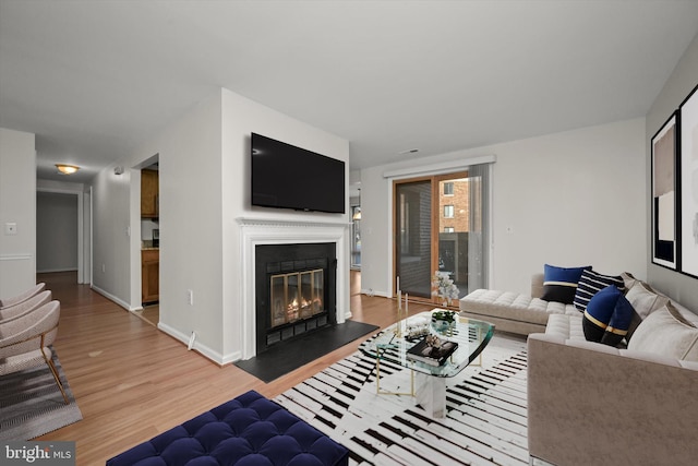 18010 Chalet Dr Unit 18-104, Germantown, MD 20874 - living area with baseboards, a fireplace with flush hearth, and light wood-style floors